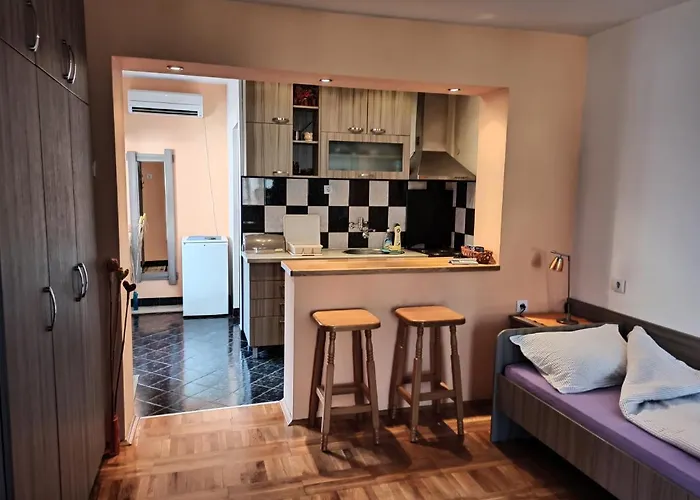 アパート Ristic ニシュカ・バニャ